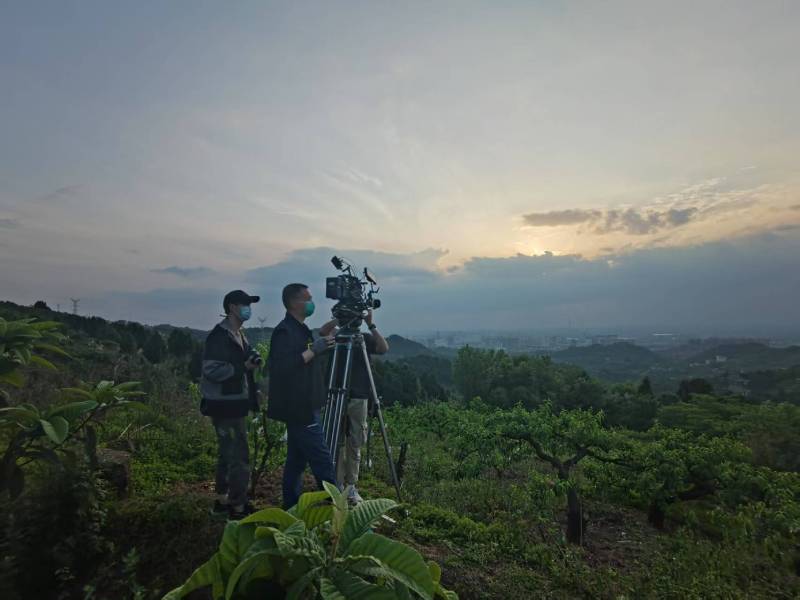 创意破圈！徐水县电商产品宣传视频用故事化叙事引爆流量
