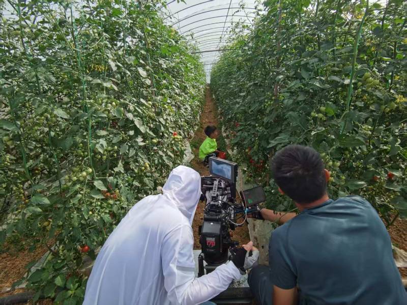 徐水县产品宣传视频拍摄公司进阶指南，助力品牌抢占传播高地